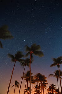 night sky full of stars thumbnail