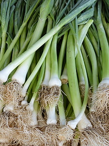 onion leaf lot thumbnail