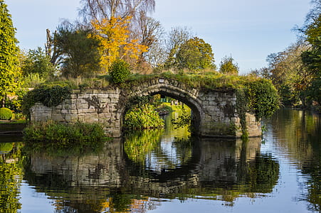 photo of bridge on water thumbnail