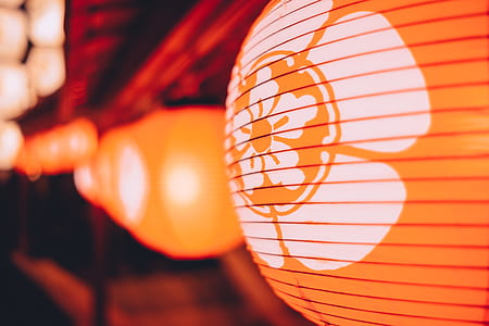 closeup photo of white and orange floral lantern thumbnail