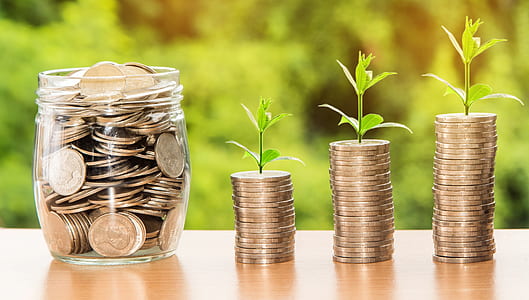 selective focus photography of silver-colored coins with plants thumbnail