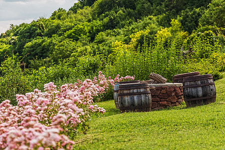 pink flowers beside gray wooden barrells thumbnail