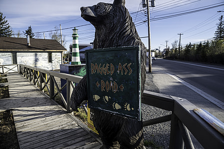 Bear Holding a Ragged-Ass road sign, Yellowknife thumbnail