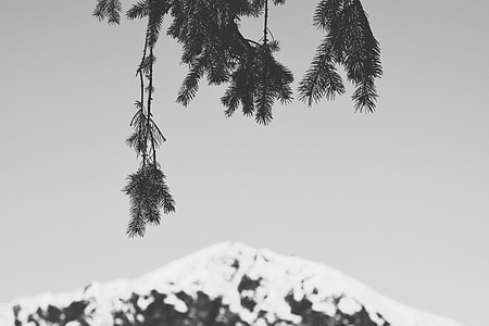 mountain covered of white snow thumbnail