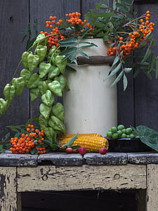 cord fruit on gray surface thumbnail