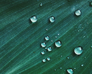 Macro Shot of Water Drop on Green Textile thumbnail