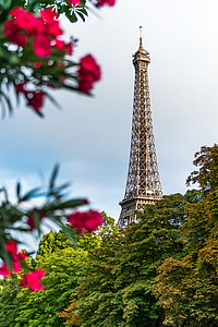 white and black steel Eiffel tower thumbnail