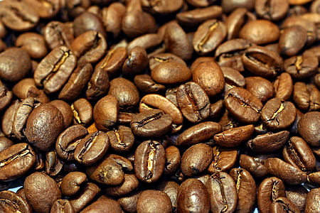 closeup photography of coffee beans lot thumbnail