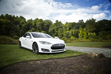 white Tesla sedan parked on green grass field near trees thumbnail