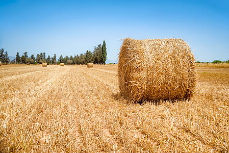 round hay bale thumbnail