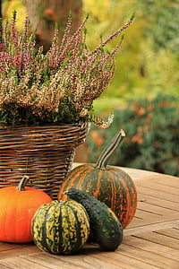 squash near basket with flowers thumbnail