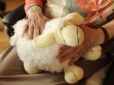 white sheep plush toy on person's lap thumbnail