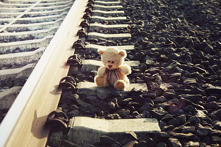 brown bear plush toy on grey metal train rail thumbnail