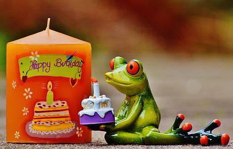 close-up photo of green frog figurine near orange candle thumbnail