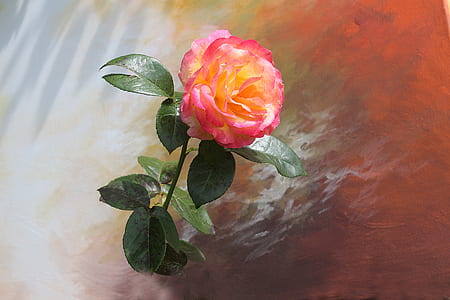 yellow and pink petaled flower painting thumbnail