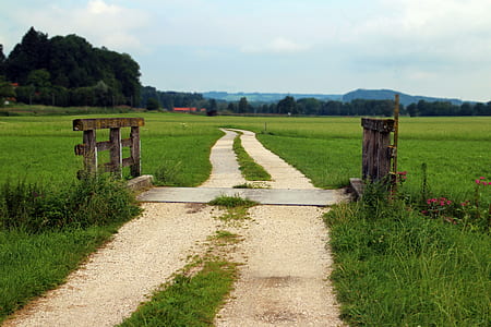 footpaths between grass field thumbnail