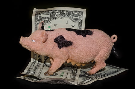 pink pig figurine on 1 US dollar banknote thumbnail