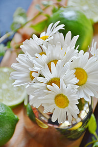 white petaled flower in vase thumbnail