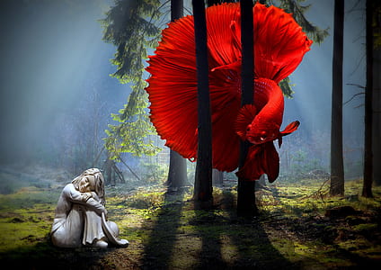 woman near red betta fish thumbnail