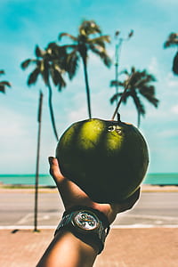 shallow focus photography of person holding green coconut thumbnail
