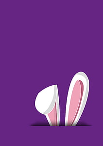 white rabbit illustration thumbnail