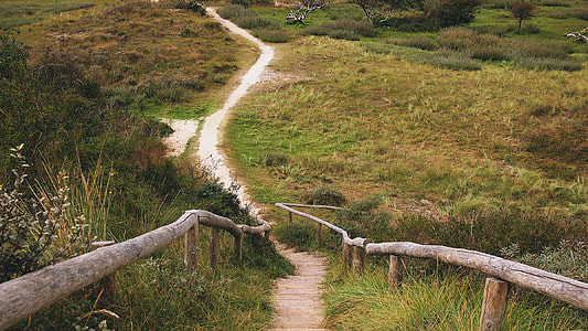 brown pathway between brown wooden railing and green grass field at daytime thumbnail