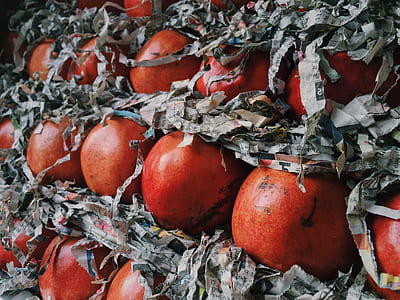red, agriculture, fruits, display thumbnail