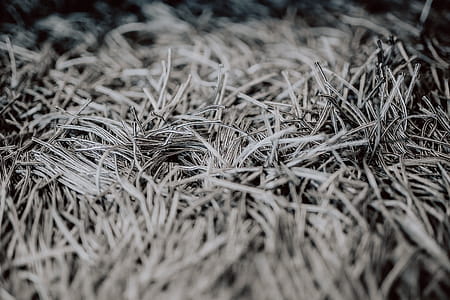 Grey rug texture closeup thumbnail