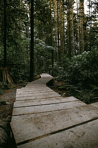 empty gray garden pathway thumbnail