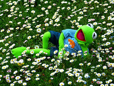 Kermit the frog on garden thumbnail