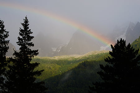 rainbow over forest thumbnail
