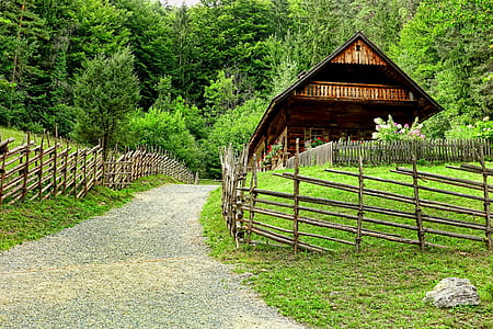 brown wooden house near trees thumbnail