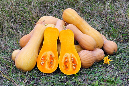 orange avocados thumbnail