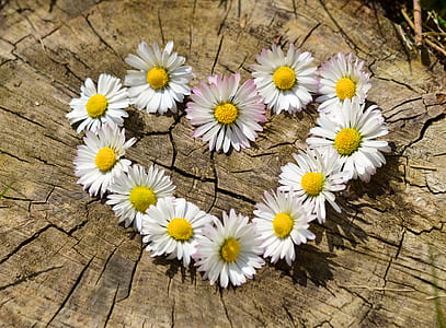 blower heart decor on tree stump thumbnail