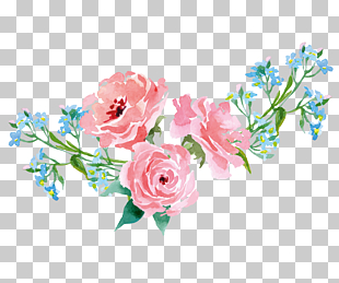 Garden roses Pink Illustration, Hand-painted flowers plants, pink rose illustration PNG clipart