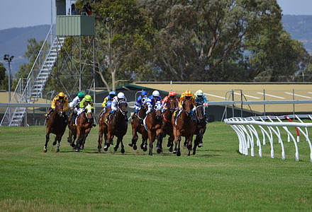 photo of horse racing thumbnail
