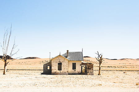 beige house near tree thumbnail