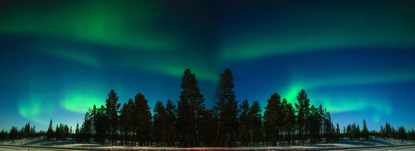 northern lights above trees panorama photography thumbnail