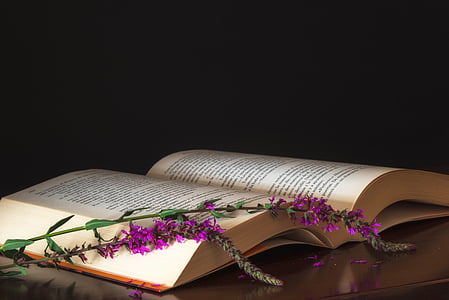 purple flowers on book thumbnail
