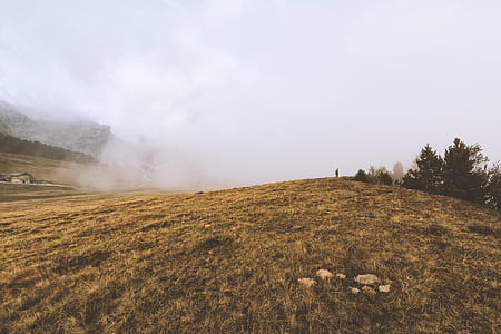 person standing on hill thumbnail