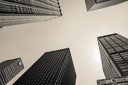 worm's eye view photography of city buildings thumbnail