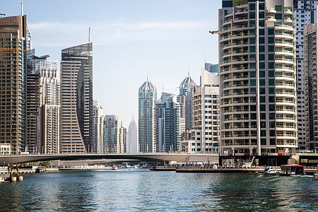 photography of bridge beside high rise building thumbnail