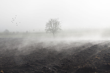 brown sand surrounded by fog thumbnail