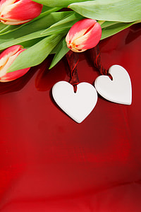 flowers on red board thumbnail