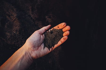 person holding black sands thumbnail