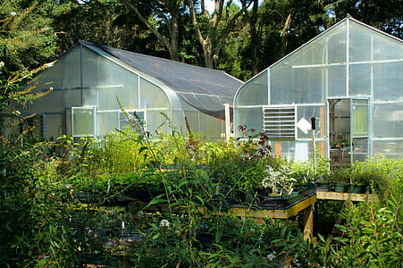 two glass garden sheds thumbnail