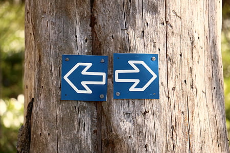 blue-and-white left and right direction arrows on tree trunk thumbnail