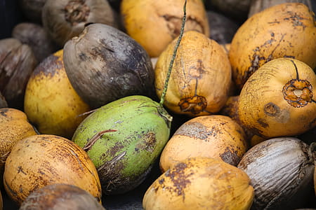 Coconuts thumbnail