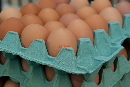 eggs, market, hens, egg carton, egg, food and drink thumbnail