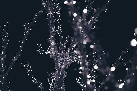 selective focus photograph of water splash thumbnail